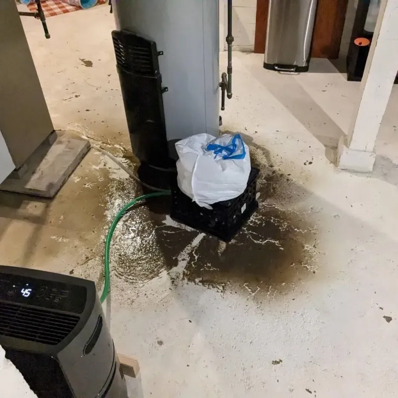 Sewage Backup Cleanup Service in Prosser, WA